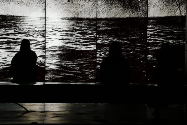 Experimento Sostenibilidad y Cultura